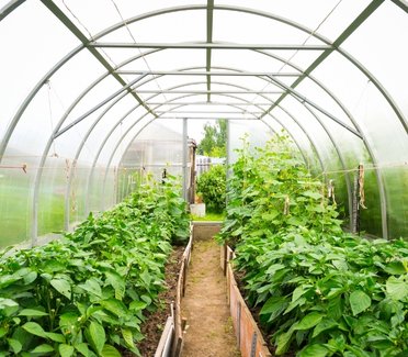 Horticulture_Garden Hover